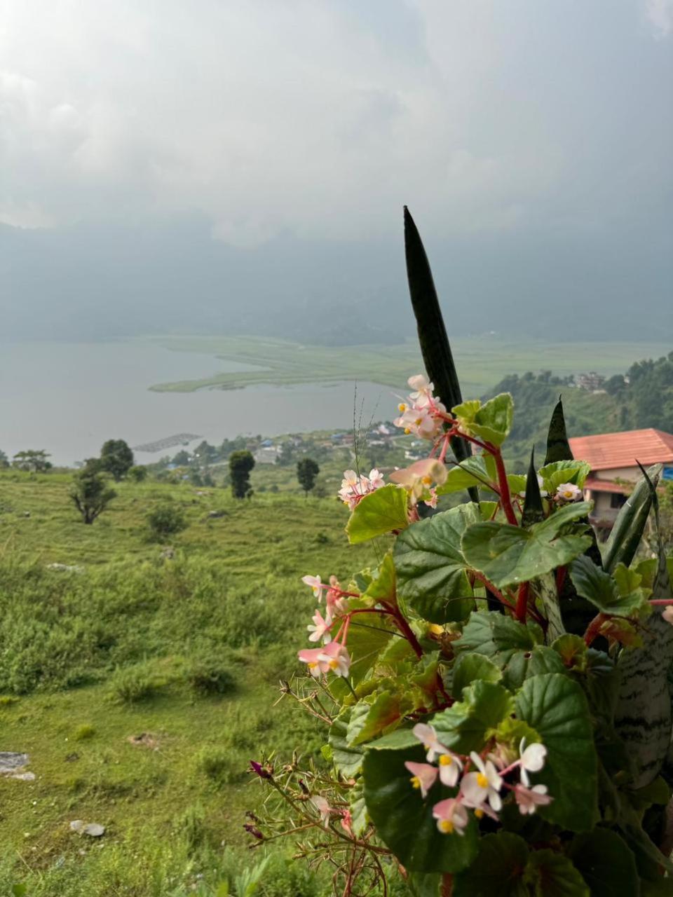 Fewa View Yoga Retreat Pokhara