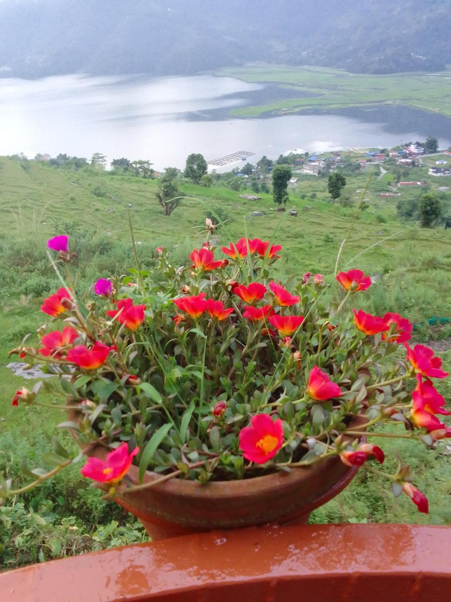 Fewa View Yoga Retreat *