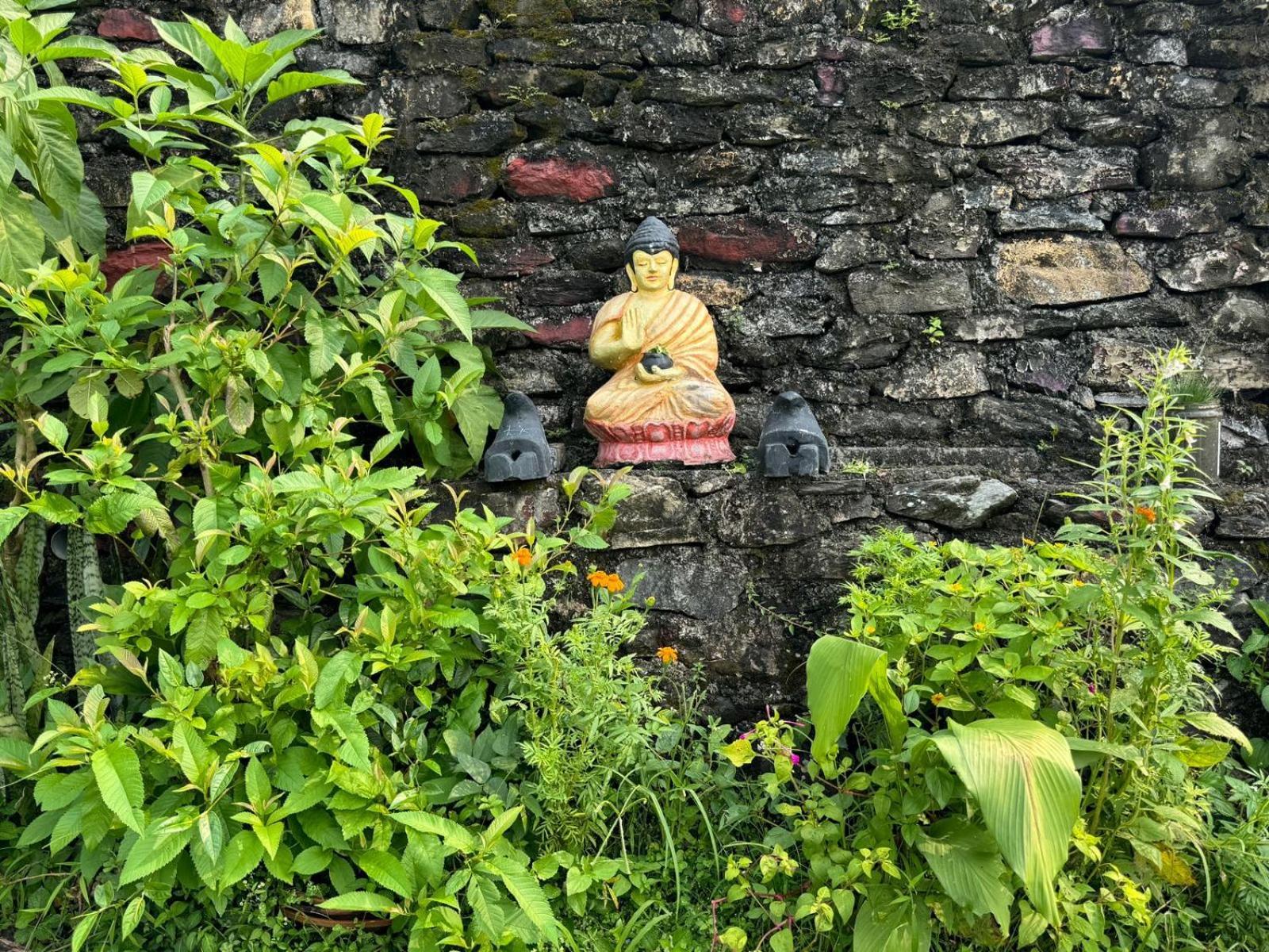 Fewa View Yoga Retreat Pokhara