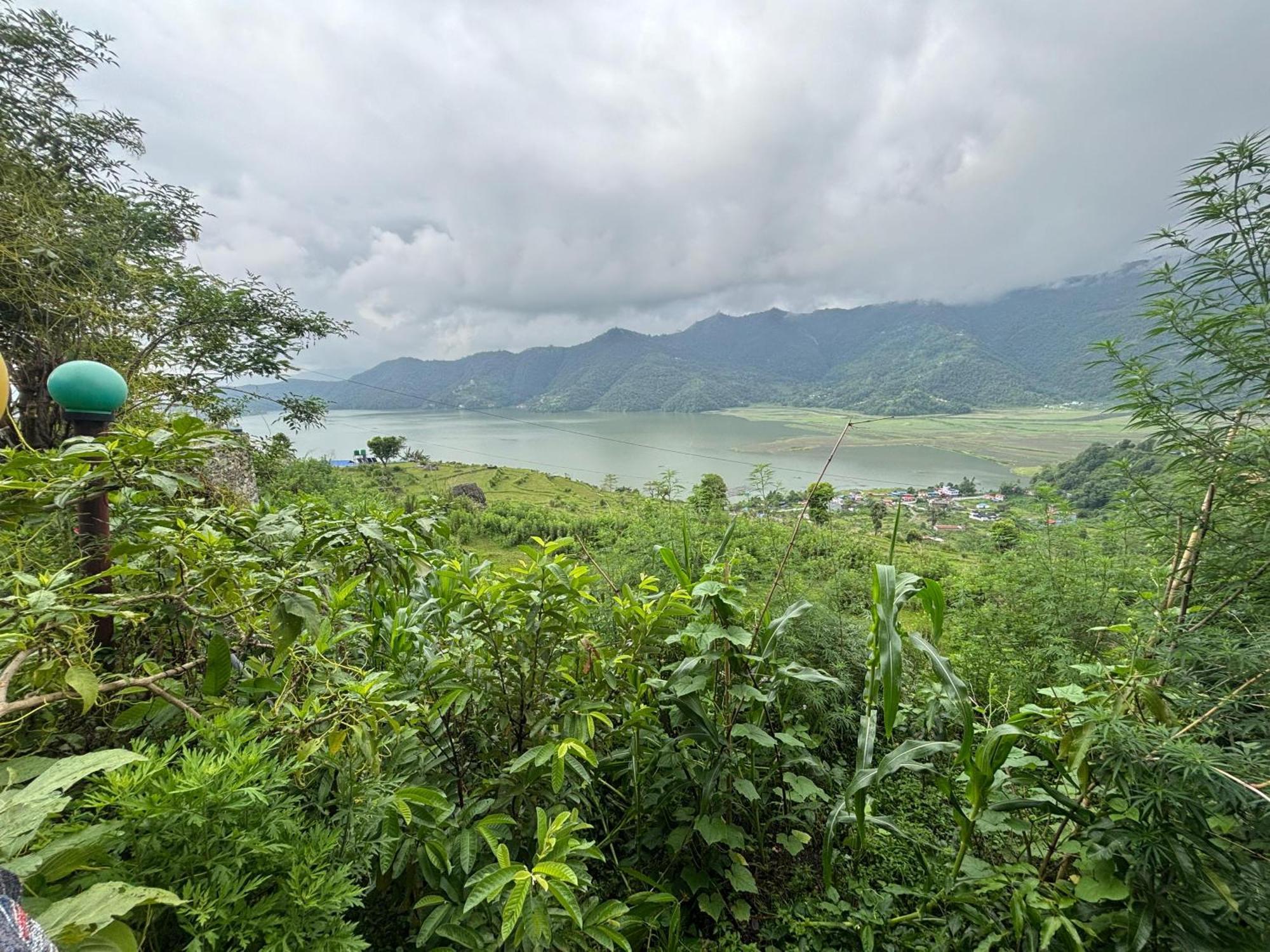 Fewa View Yoga Retreat Homestay *