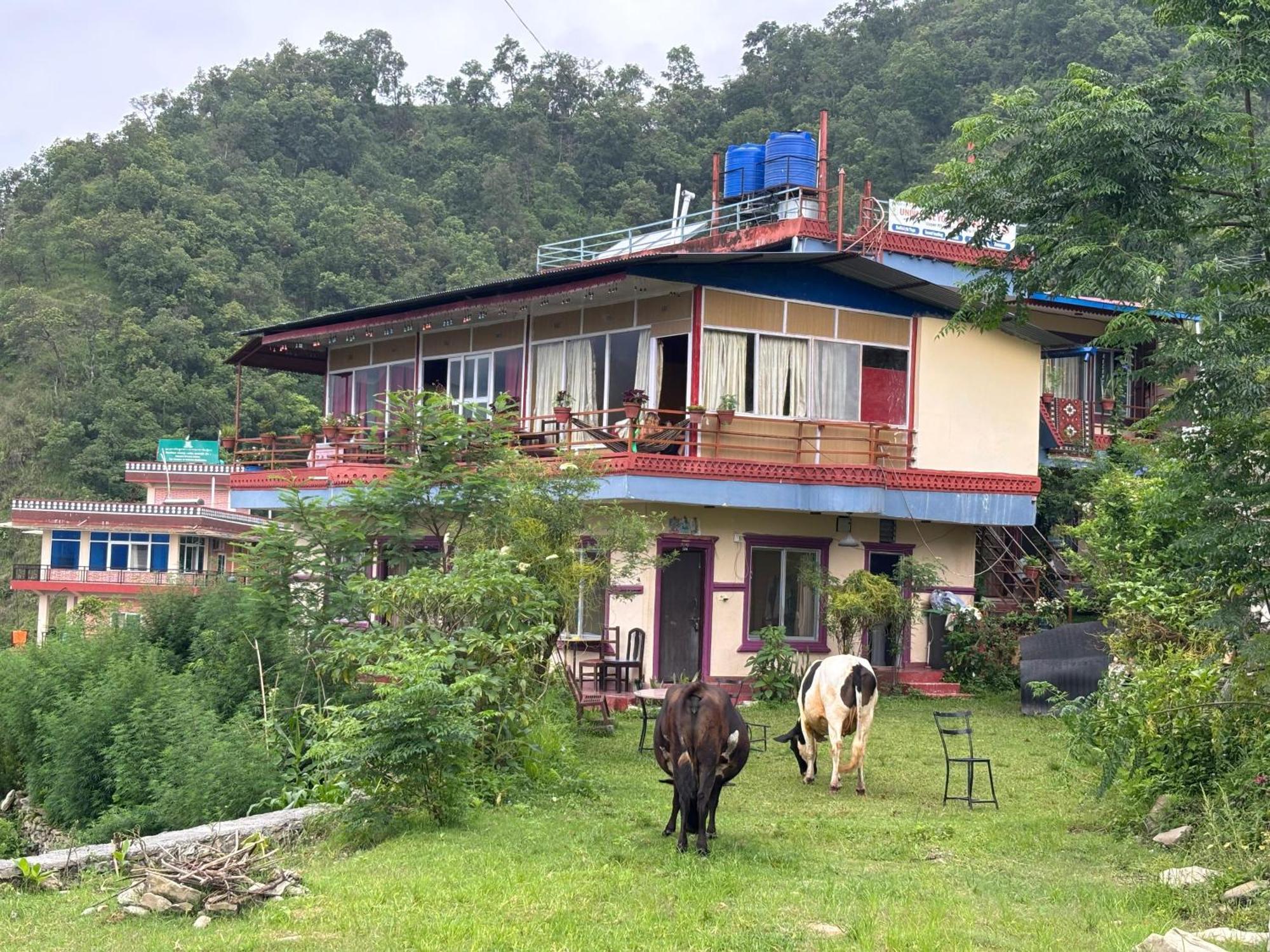 Fewa View Yoga Retreat Homestay Pokhara