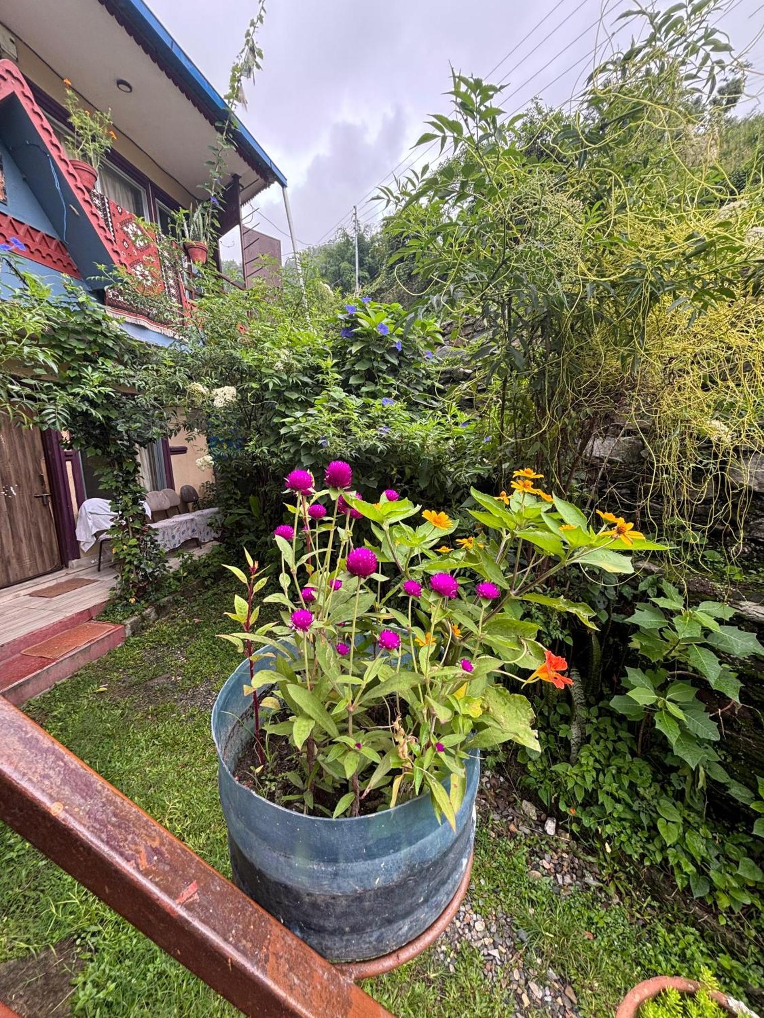 Fewa View Yoga Retreat Pokhara