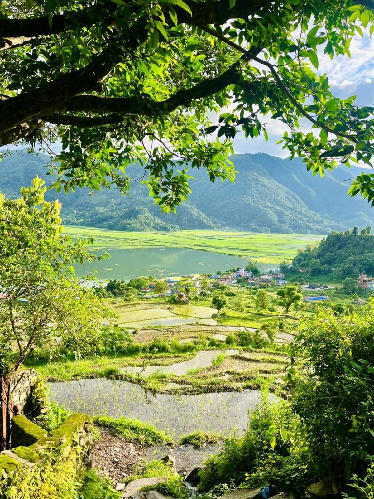Fewa View Yoga Retreat *