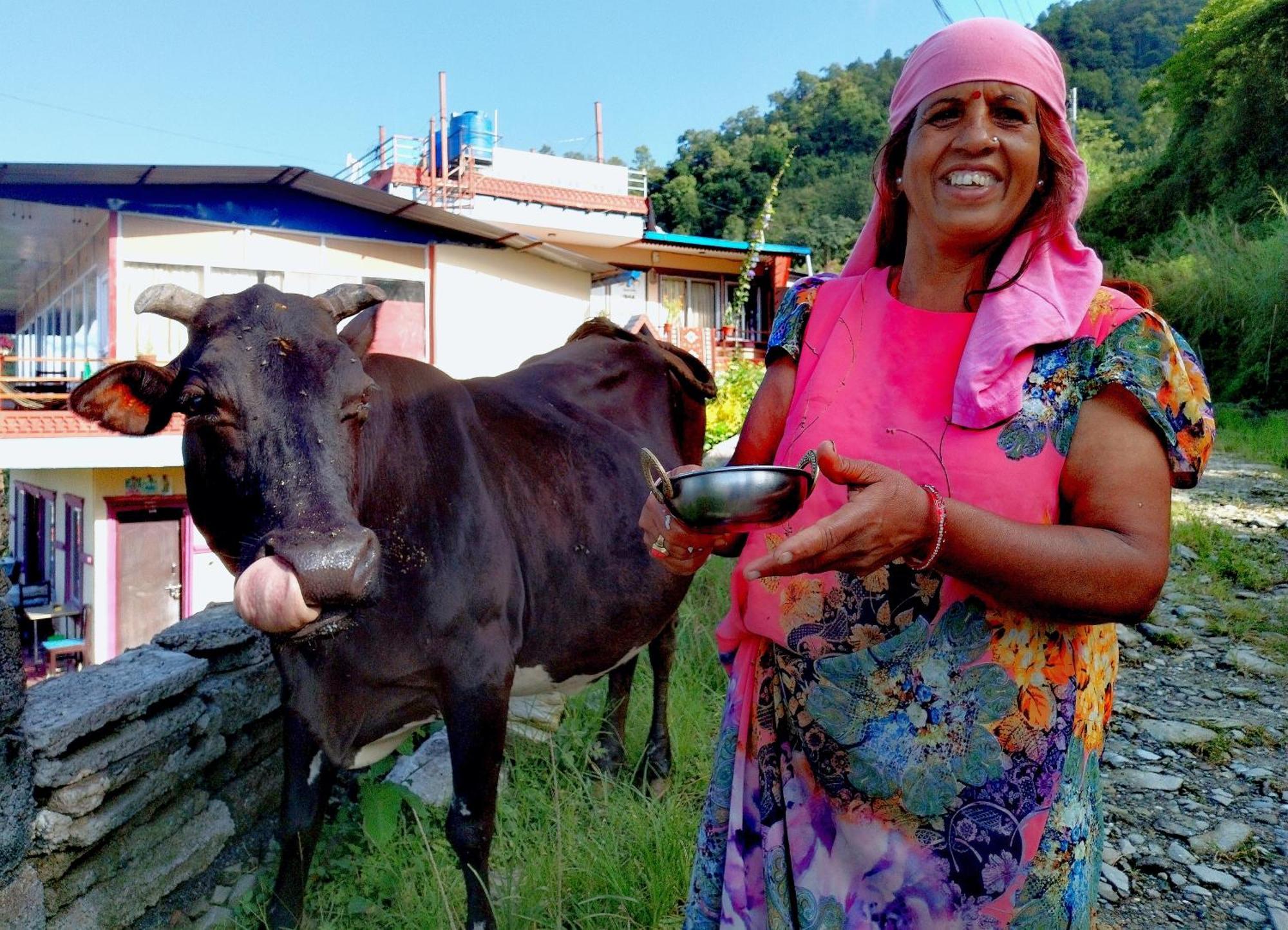 Fewa View Yoga Retreat Pokhara
