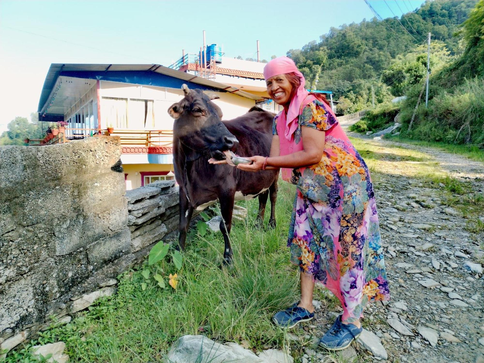 Fewa View Yoga Retreat * Pokhara